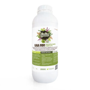 Gaia MM